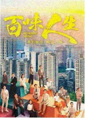 导演专访照片